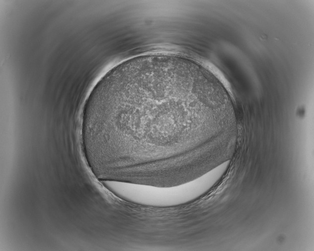 X0000099311099200805231358