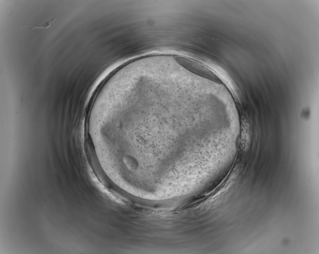 X0000099311100200805231358