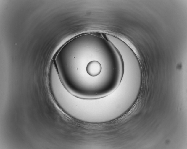 X0000099311101200805231358