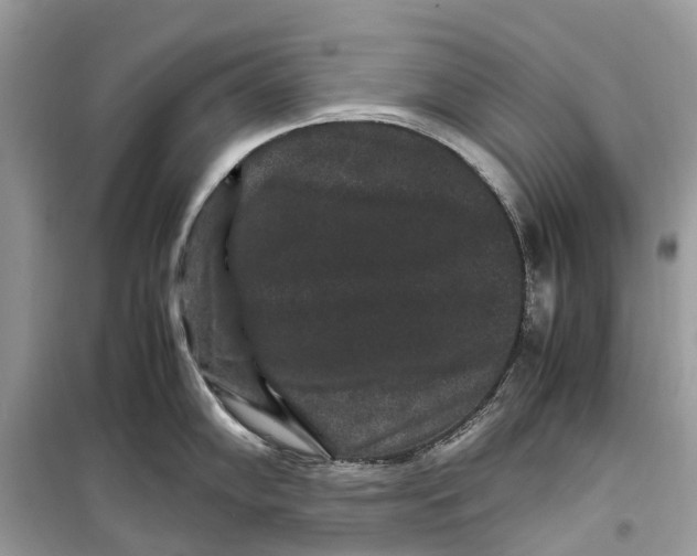 X0000099311102200805231358