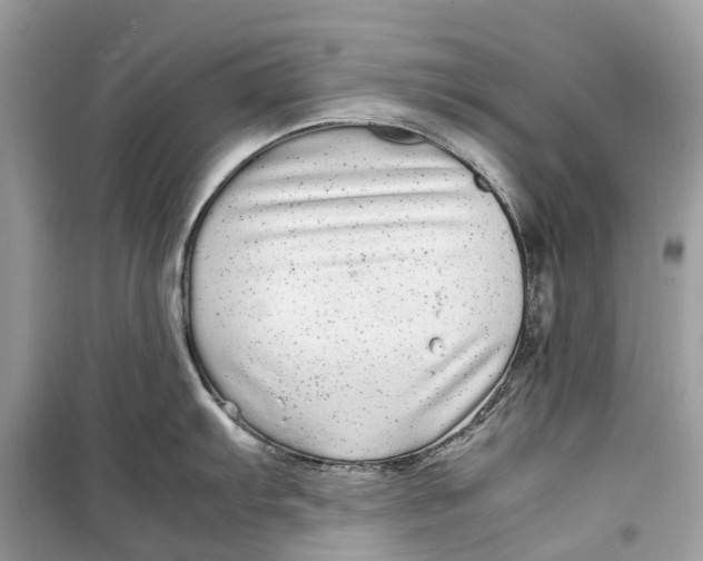 X0000099311103200805231358