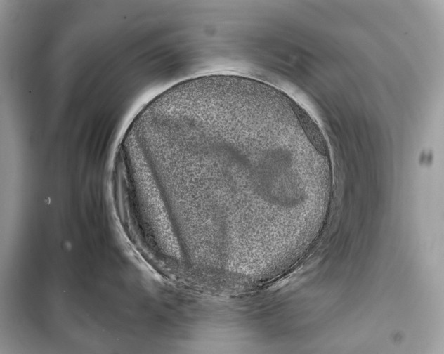 X0000099311104200805231358