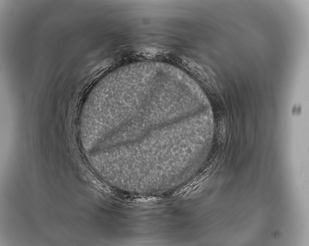 X0000099311105200805231357