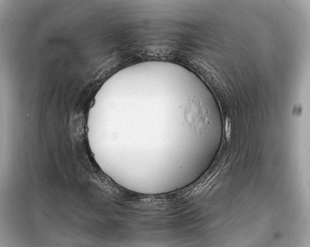 X0000099311107200805231357