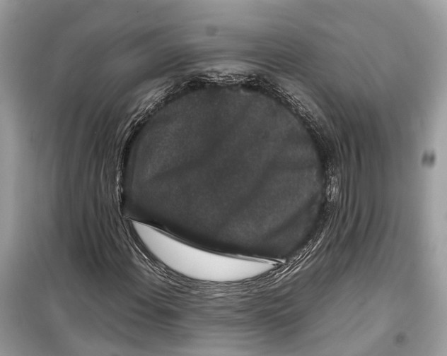 X0000099311108200805231357