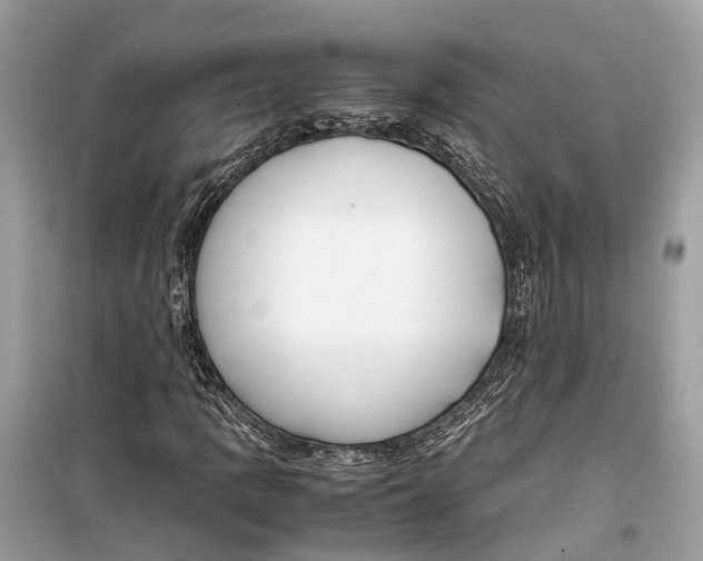 X0000099311109200805231357