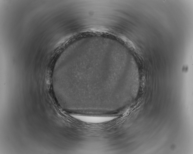 X0000099311110200805231357