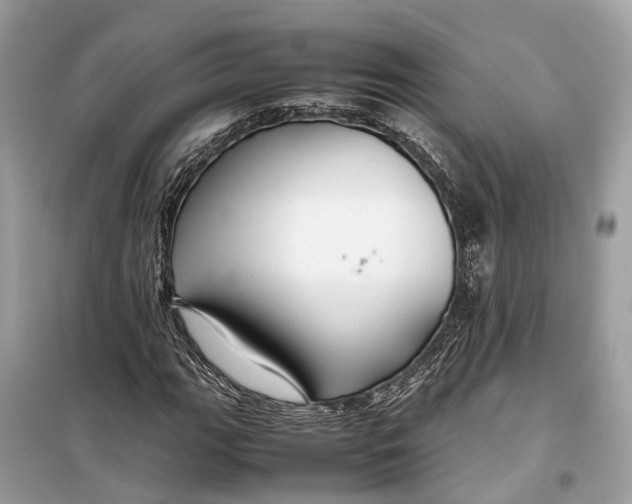 X0000099311111200805231357