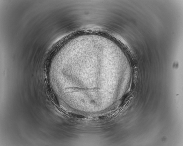 X0000099311112200805231357