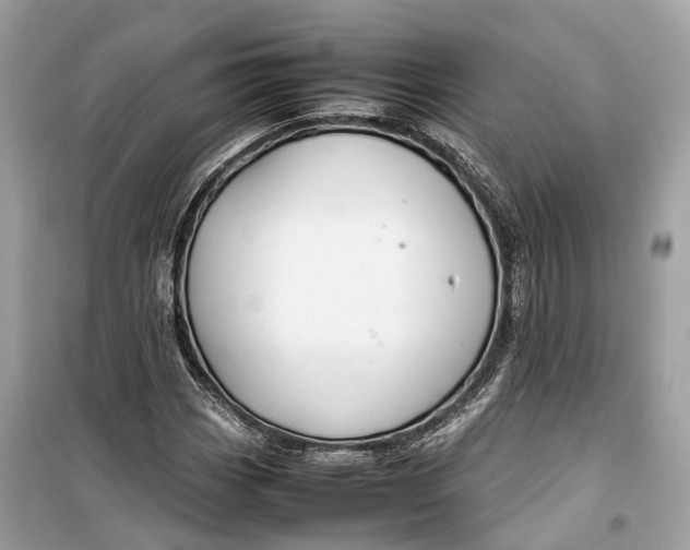 X0000099311113200805231357