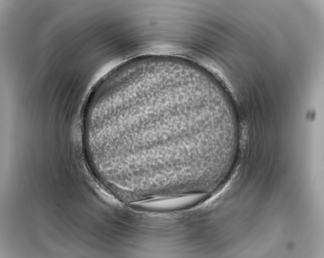 X0000099311114200805231357