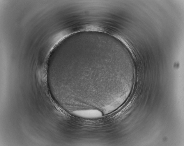 X0000099311115200805231357