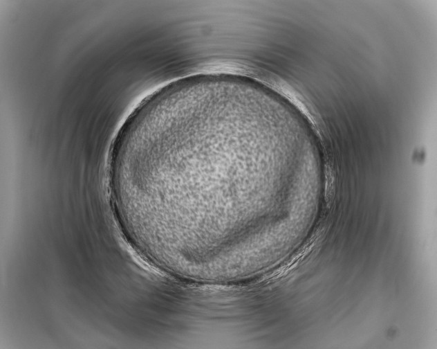 X0000099311116200805231357