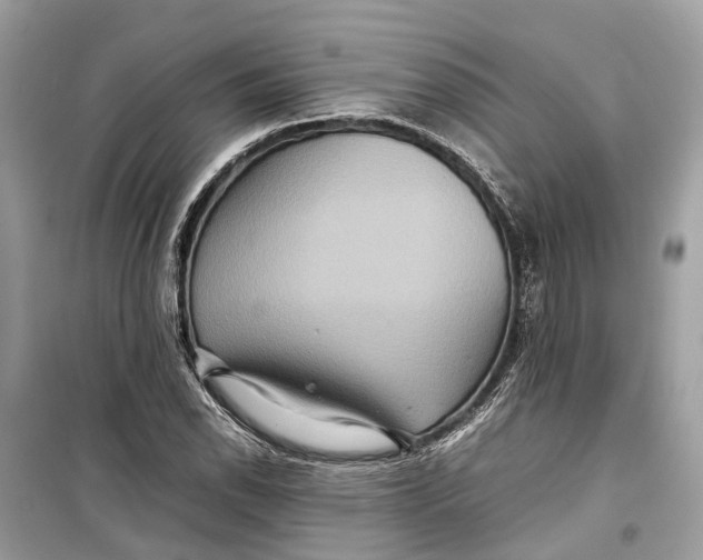 X0000099311118200805231357