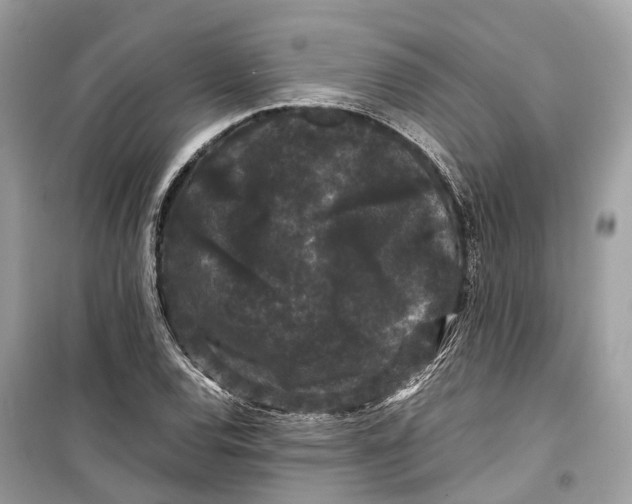 X0000099311120200805231357