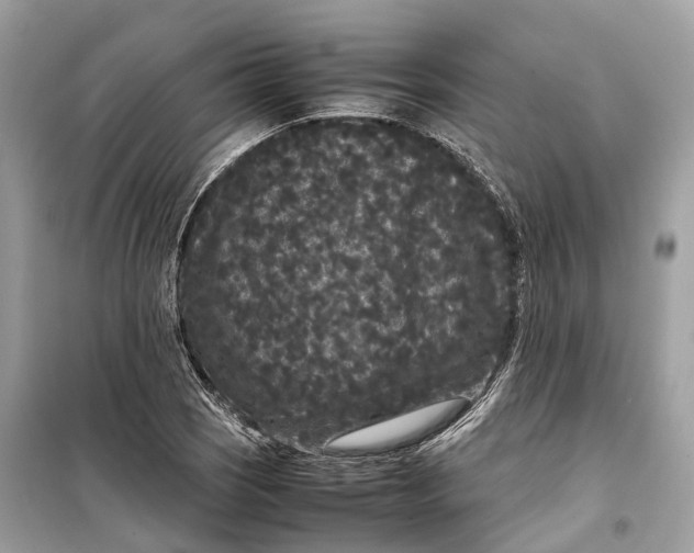 X0000099311121200805231357