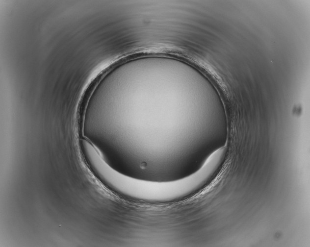 X0000099311122200805231357