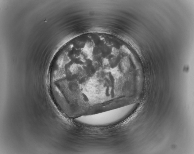 X0000099311125200805231357