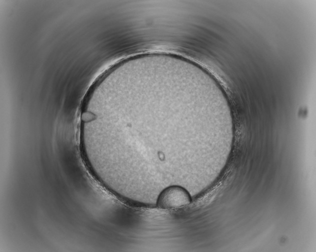 X0000099311126200805231357