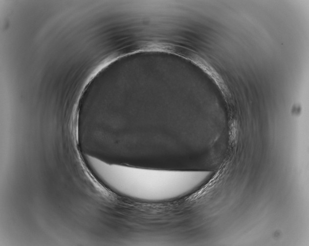 X0000099311127200805231357