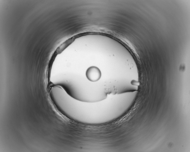 X0000099311128200805231357