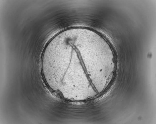 X0000099311129200805231357