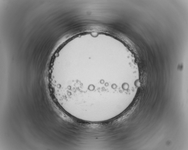 X0000099311130200805231357