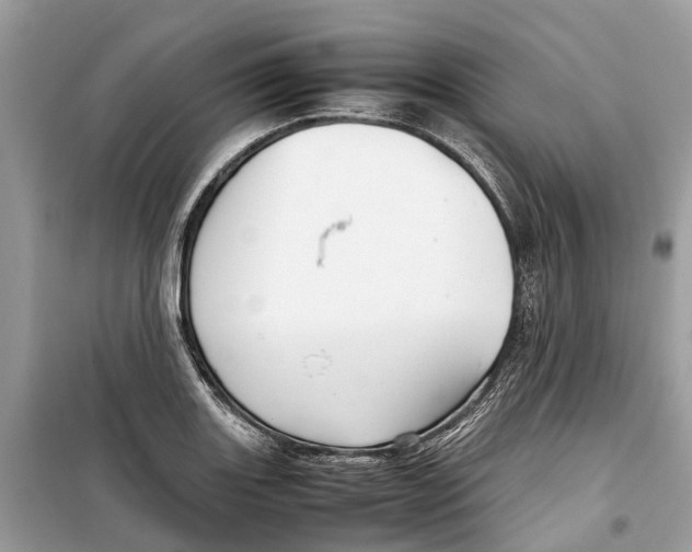 X0000099311131200805231357