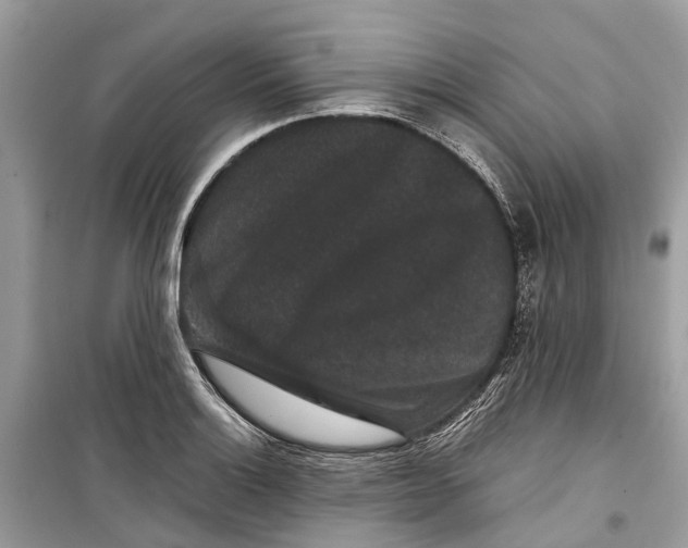 X0000099311132200805231357