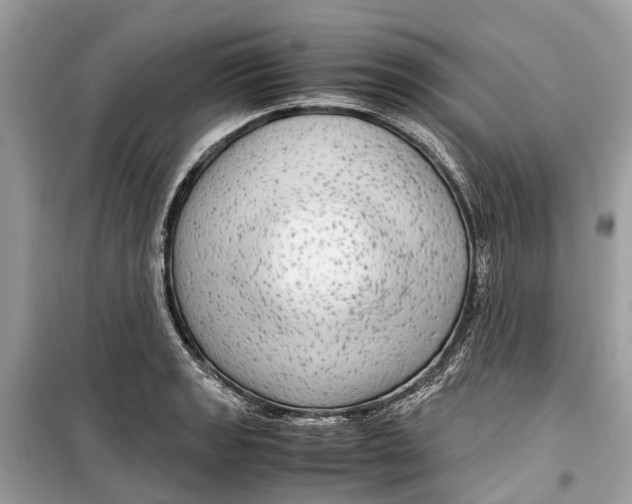 X0000099311133200805231357