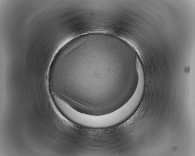 X0000099311135200805231357