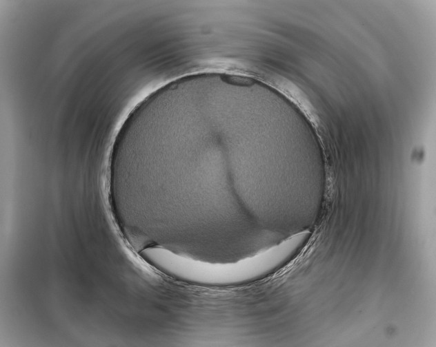 X0000099311136200805231357