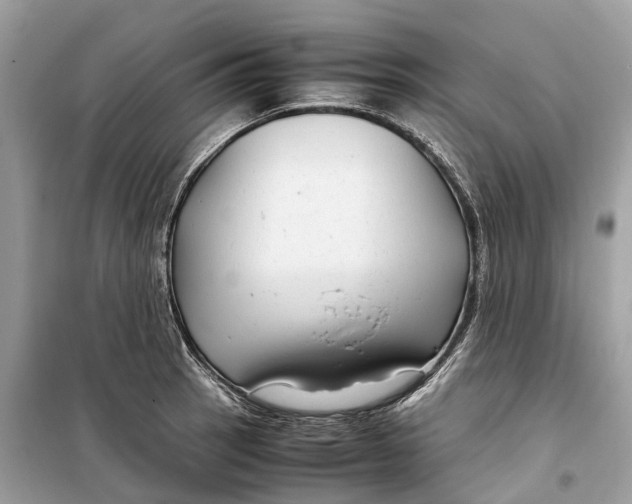 X0000099311137200805231357