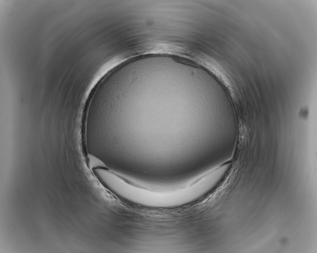 X0000099311138200805231357