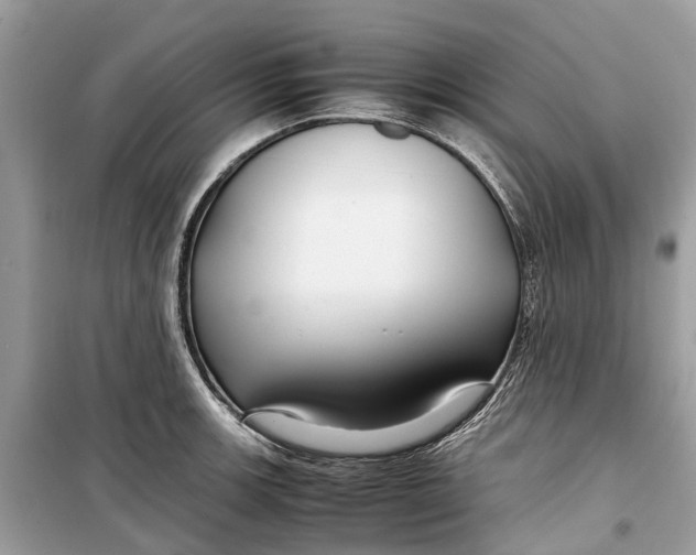 X0000099311139200805231357