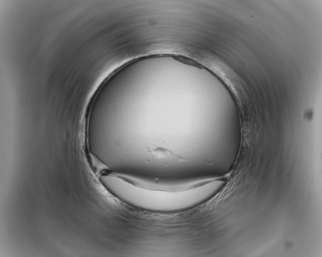 X0000099311140200805231357