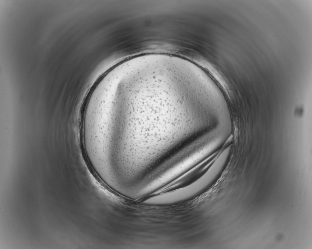 X0000099311143200805231357