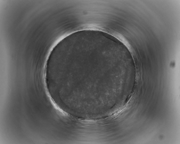 X0000099311144200805231357