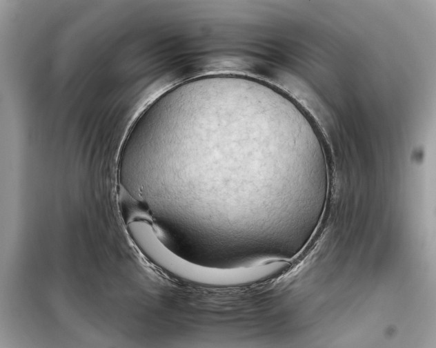 X0000099311145200805231357