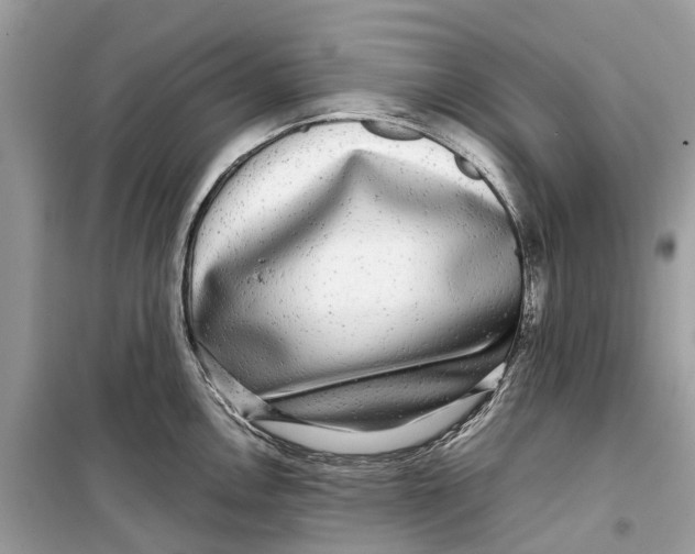 X0000099311146200805231357