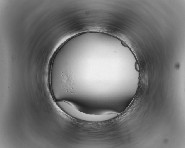 X0000099311147200805231357