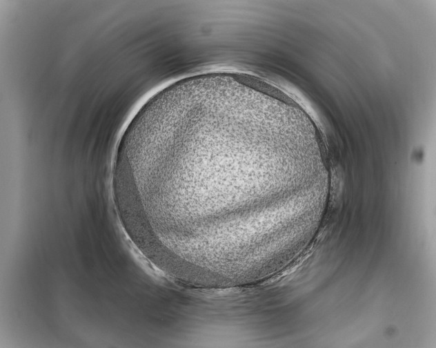 X0000099311148200805231357