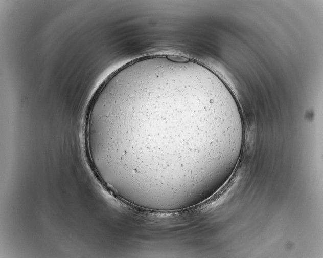 X0000099311149200805231357