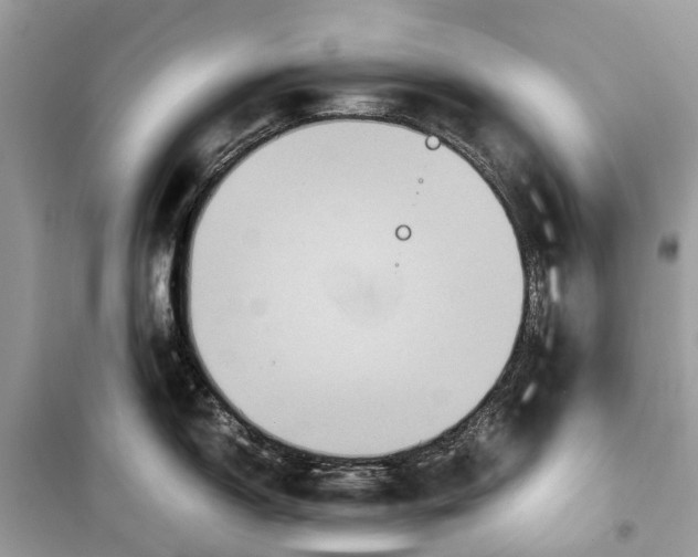 X0000099311150200805231358