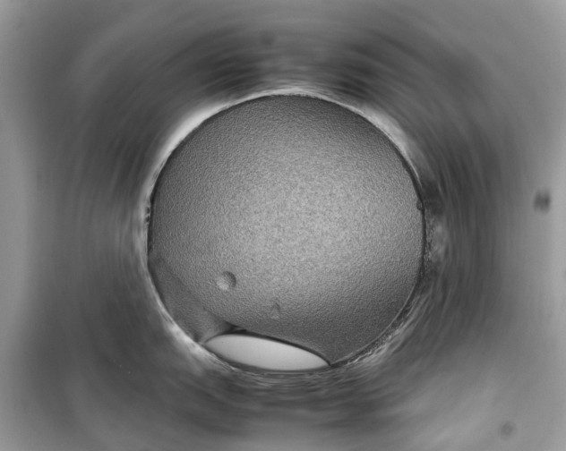 X0000099311151200805231358