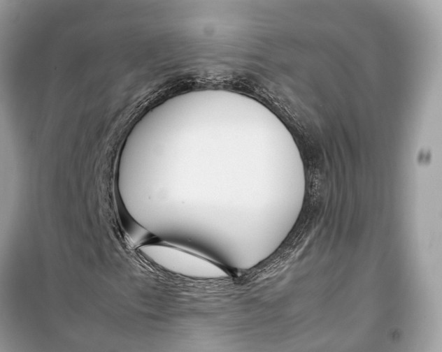 X0000099311153200805231357