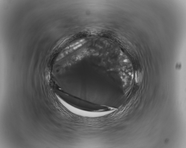 X0000099311155200805231357