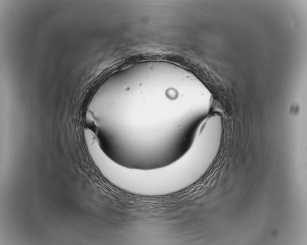 X0000099311157200805231357