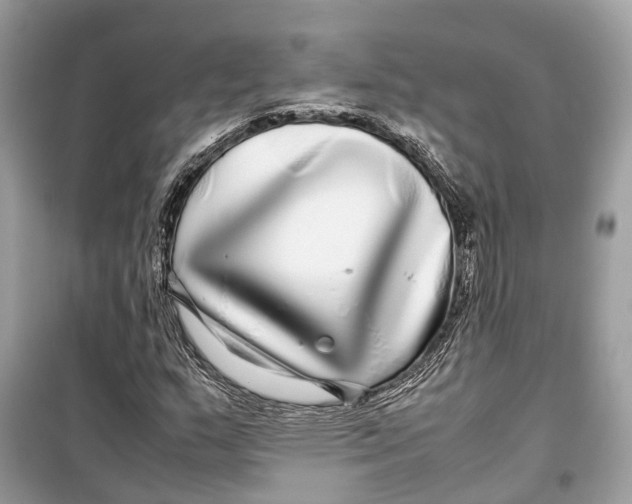 X0000099311159200805231357