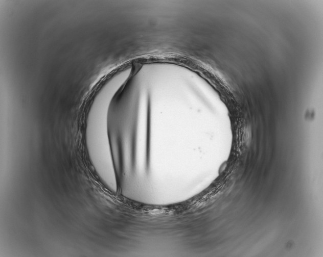 X0000099311160200805231357